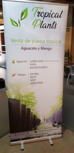Jornads del Aguacate Tropical-Plants